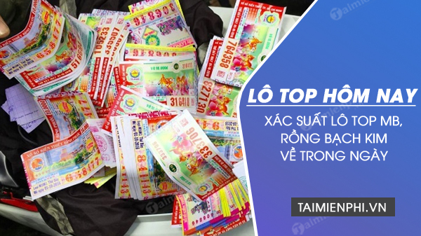Bảng Tốp Rồng Bạch Kim Gallery 2
