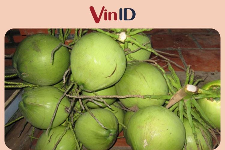 Bông Dừa Xiêm Có Tác Dụng Gì? Gallery 2