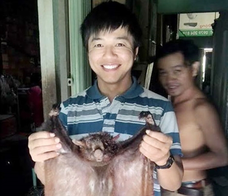 Cao Chồn Bay Có Tác Dụng Gì? Gallery 2