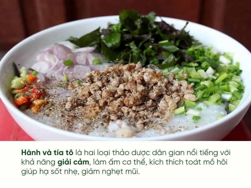 Cháo Giải Cảm, Hạ Sốt: Công Thức Và Lợi Ích Gallery 2