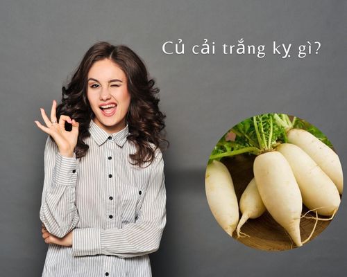 Củ cải kị gì? Gallery 2