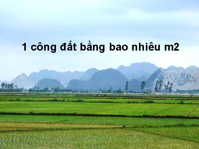 1 Công Đất Bằng Bao Nhiêu Mét Vuông? Gallery 2