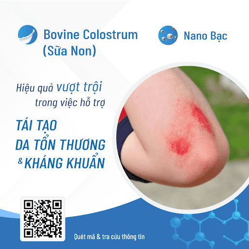 Lá đắp vết thương hở Gallery 2