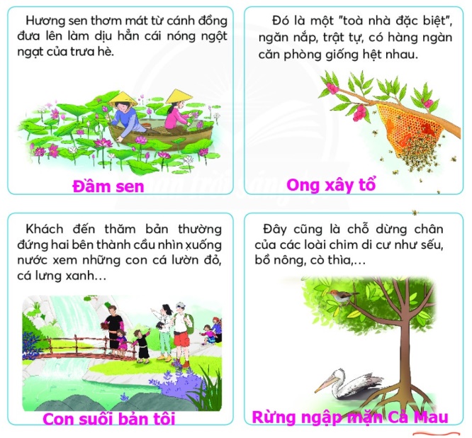 Giải bài tập Tiếng Việt lớp 2 Chân trời sáng tạo Gallery 2