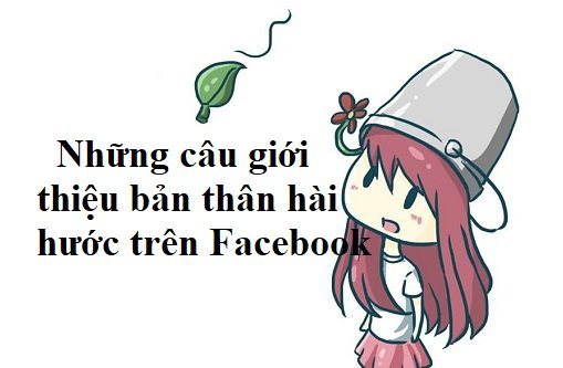 Những Lời Giới Thiệu Bản Thân Hay Trên Zalo Hài Hước Gallery 2