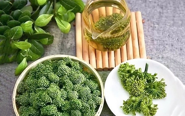 Nụ Tam Thất Có Tác Dụng Gì? Gallery 2