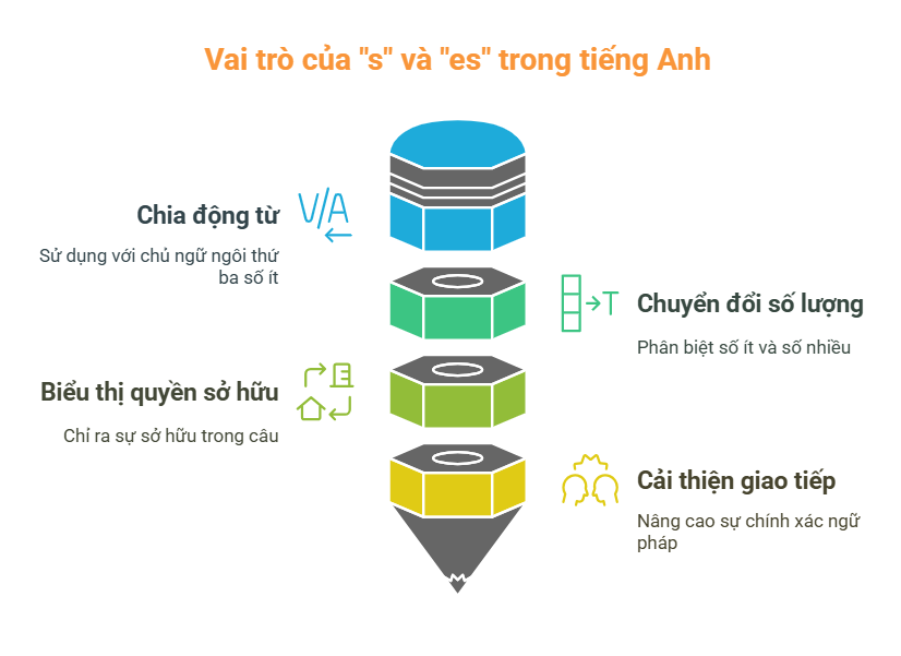 Khi nào dùng S? Gallery 2
