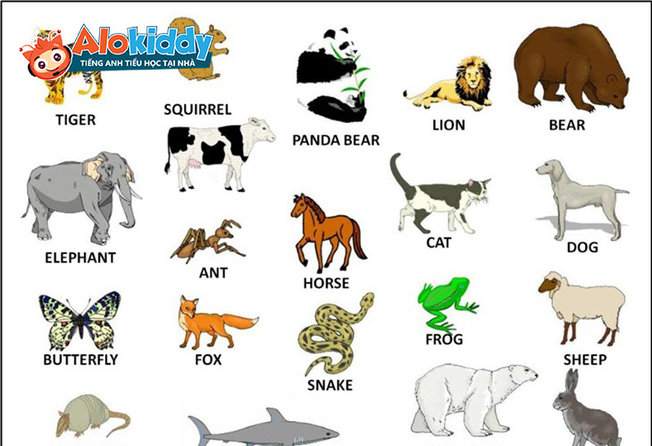 Con Vật Trong Sổ Đề Gallery 2