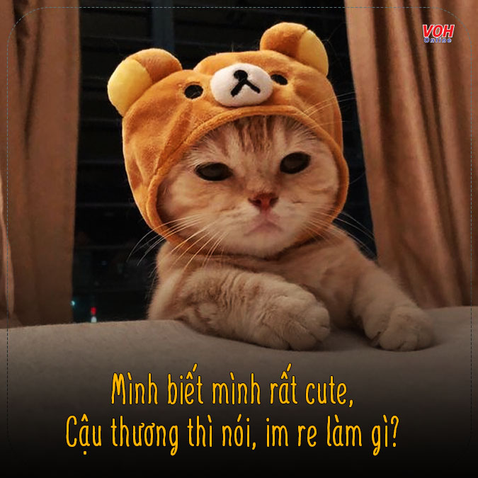 Thơ Tỏ Tình Ngắn Gọn, Ngọt Ngào, Lãng Mạn Gallery 2