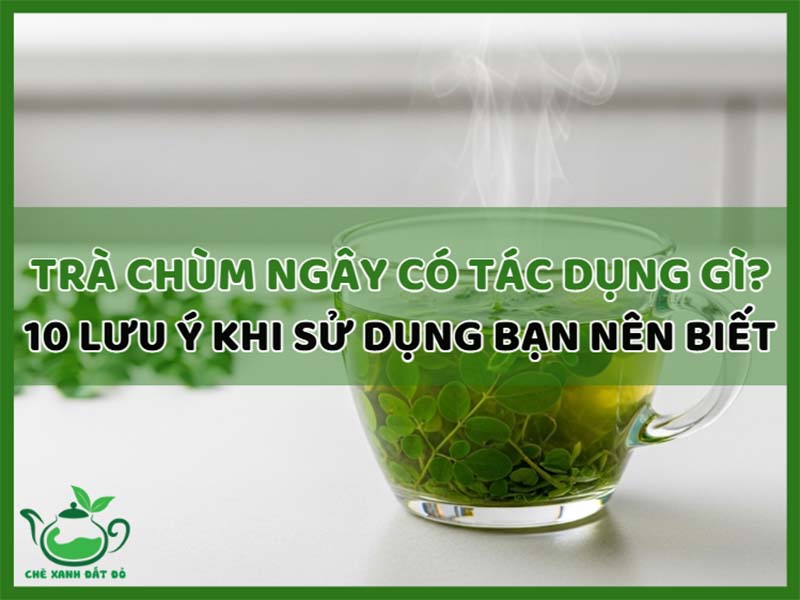 Trà Chùm Ngây Có Tác Dụng Gì? Gallery 2