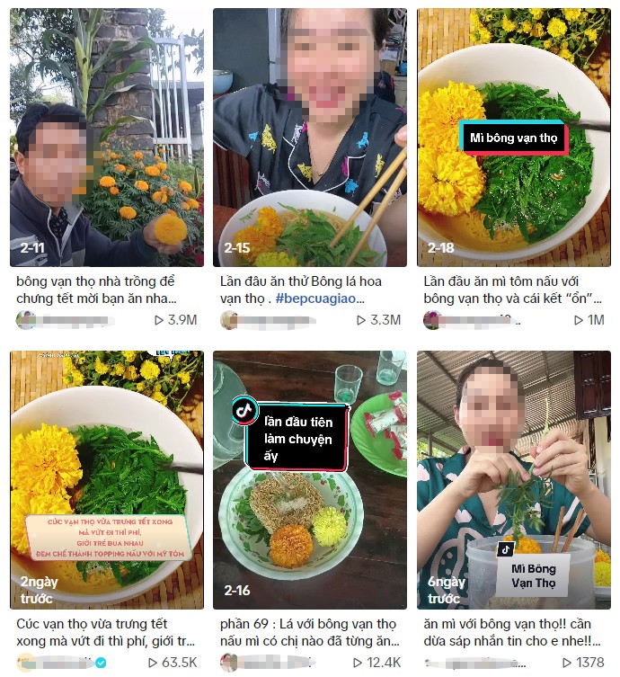 Bông Vạn Thọ Ăn Được Không? Gallery 2