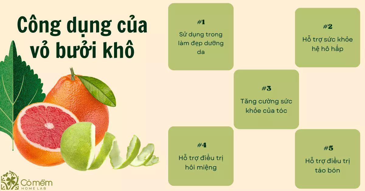 Vỏ bưởi trị bệnh gì? Gallery 2