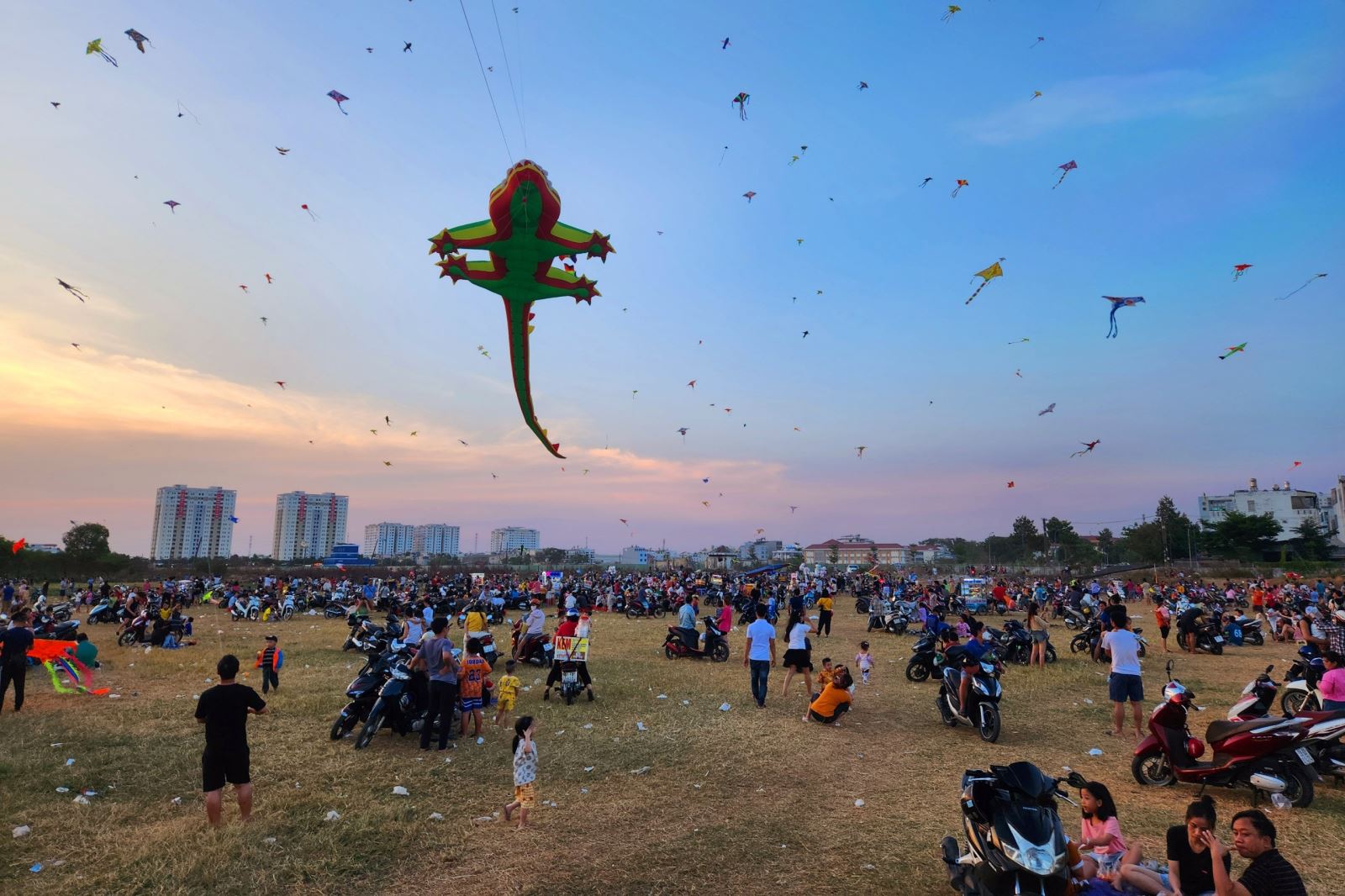 Cánh Đồng Diều Quận 12: Địa Điểm Chụp Ảnh Lý Tưởng Gallery 2