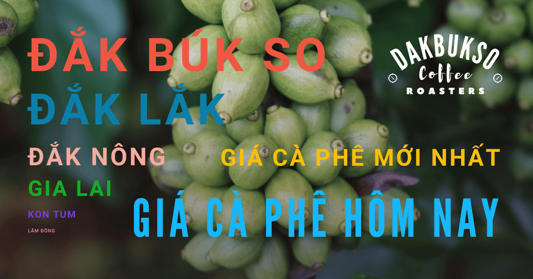 Giá cà phê Đắk Lắk hôm nay Gallery 2