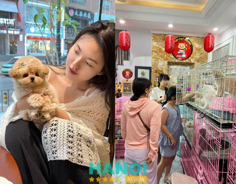Cho Tốt Vật Nuôi Hà Nội - Nơi tìm thú cưng đáng yêu và uy tín Gallery 2