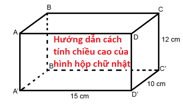 Cách Tính Chiều Cao Hình Hộp Chữ Nhật Gallery 2