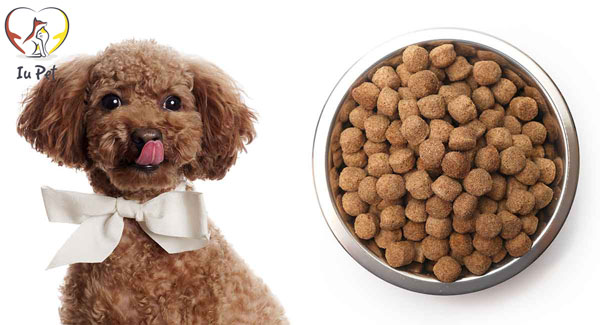 Cách Nấu Thức Ăn Cho Chó Poodle Gallery 2