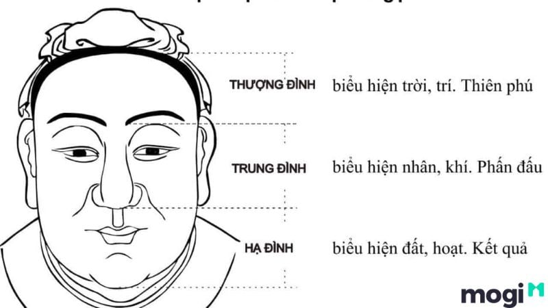 Tướng Mặt Đàn Ông Đểu: Nhận Biết Qua Các Đặc Điểm Khuôn Mặt Gallery 2