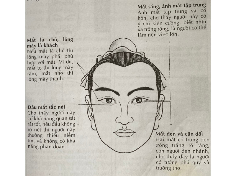 Tướng Người Hay Nói Dối Gallery 2