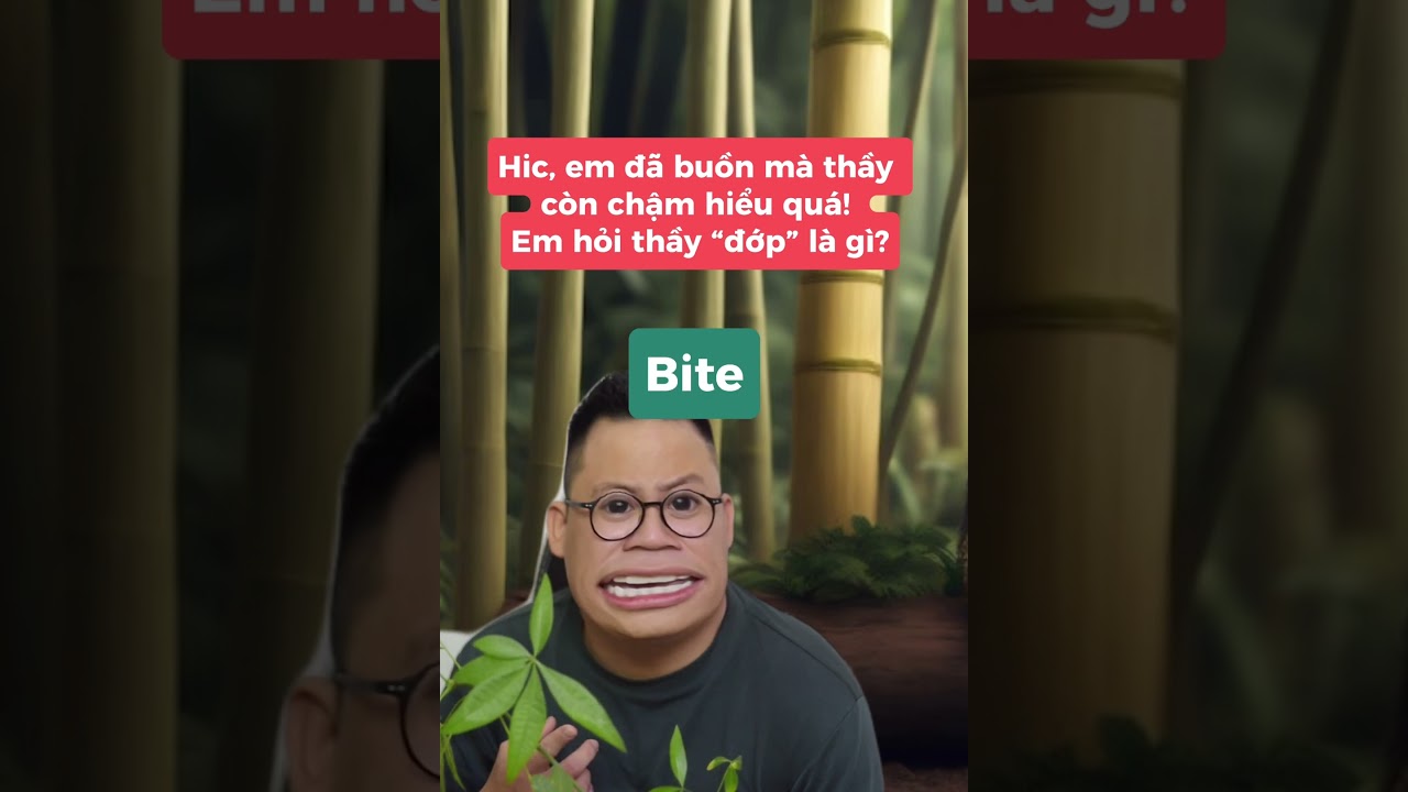 Lụy Tình Tiếng Anh Là Gì Gallery 1