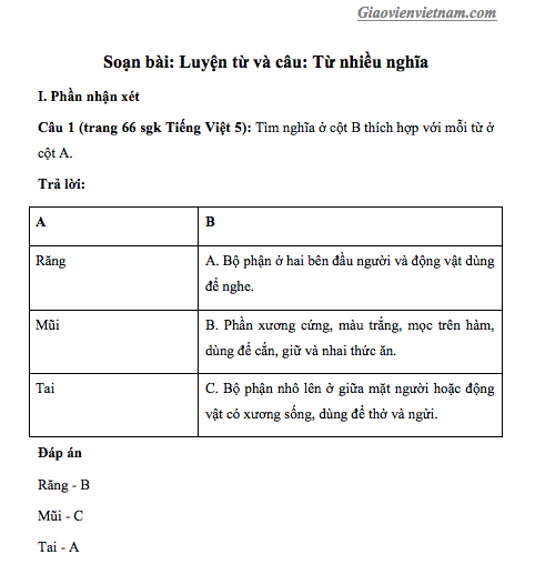 Luyện Từ và Câu Lớp 5 Từ Nhiều Nghĩa