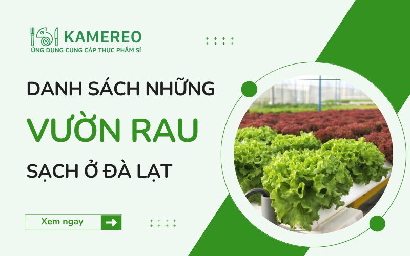 Công Ty Rau Sạch Đà Lạt Tuyển Dụng Gallery 2