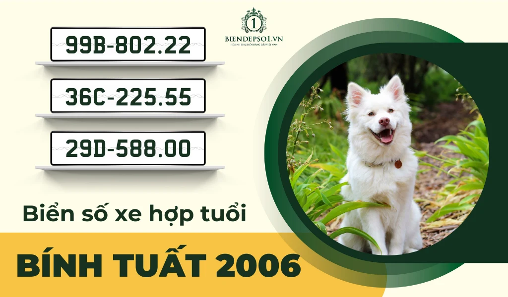 Sinh năm 2006 hợp số nào? Gallery 1