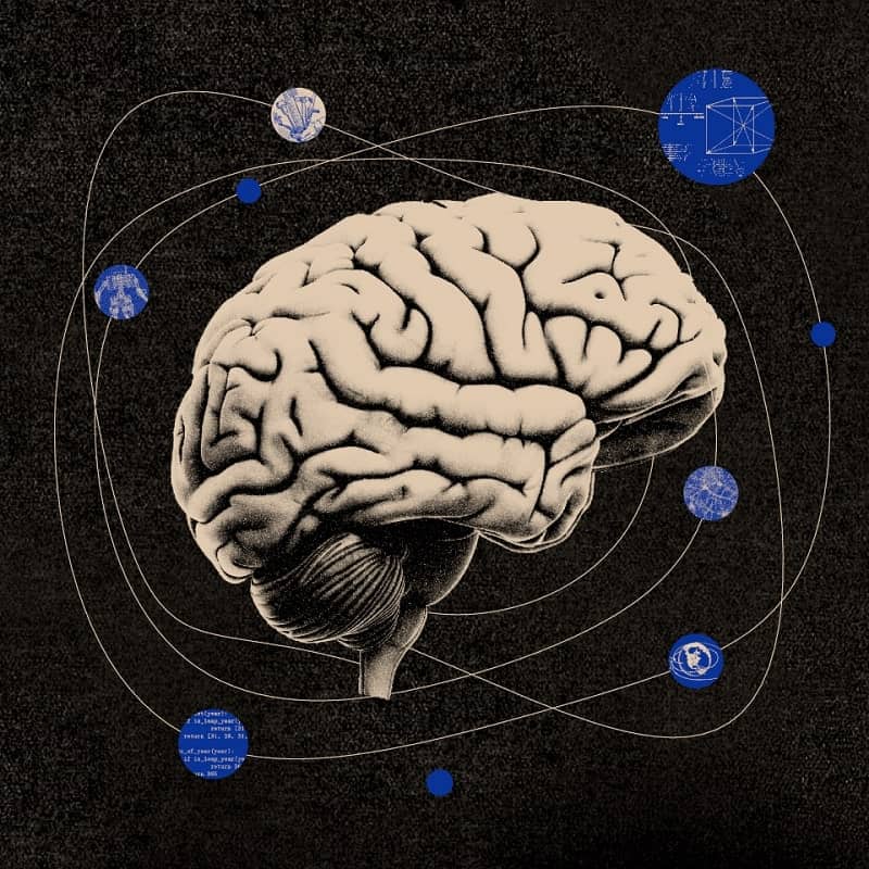 English Rationality: A Guide to Logical Thinking and Argumentation