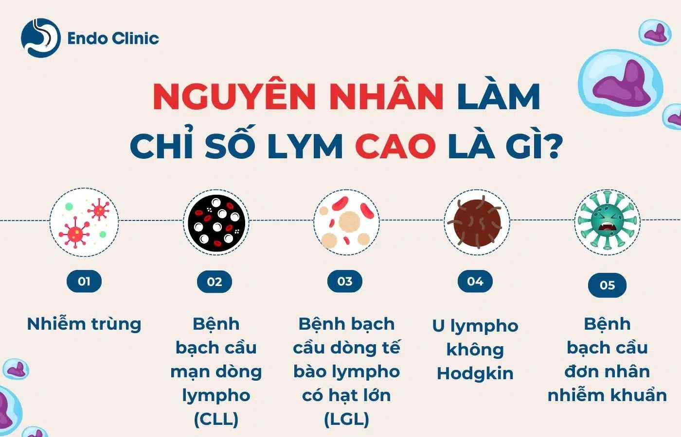 Lym cao là gì?