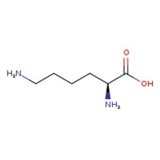 Lysine là gì? Tác dụng, nguồn cung cấp và liều lượng