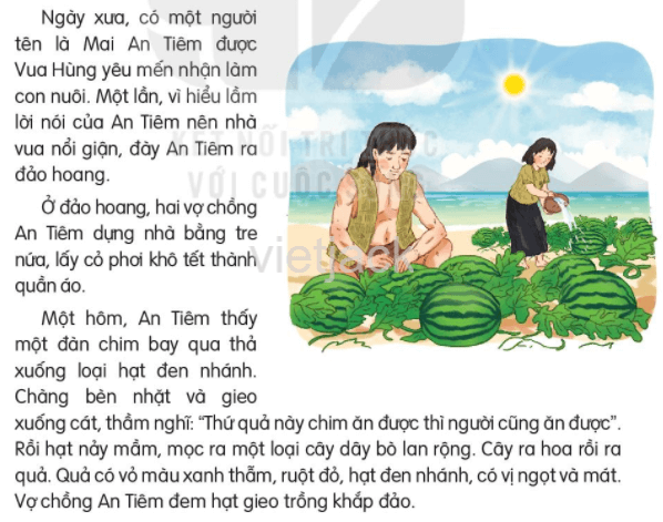Mai An Tiêm lớp 2 sách Kết nối tri thức