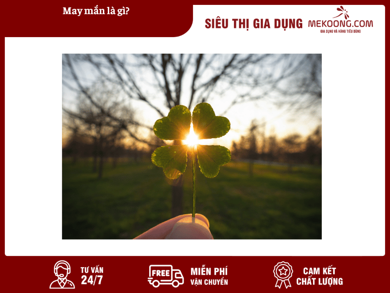 Mắn Là Gì? Gallery 2