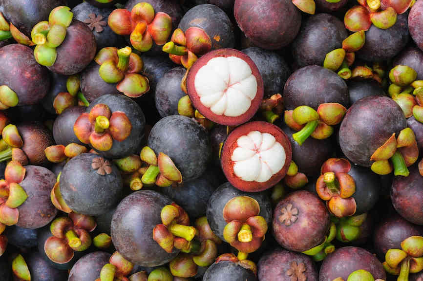 Mang Cut Tiếng Anh Là Gì?