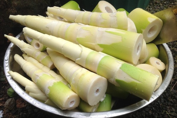 Măng kỵ với gì?