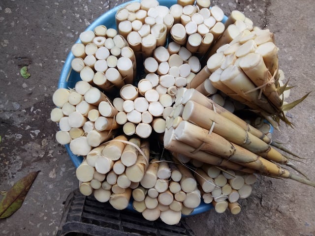 Măng Lay Sơn La