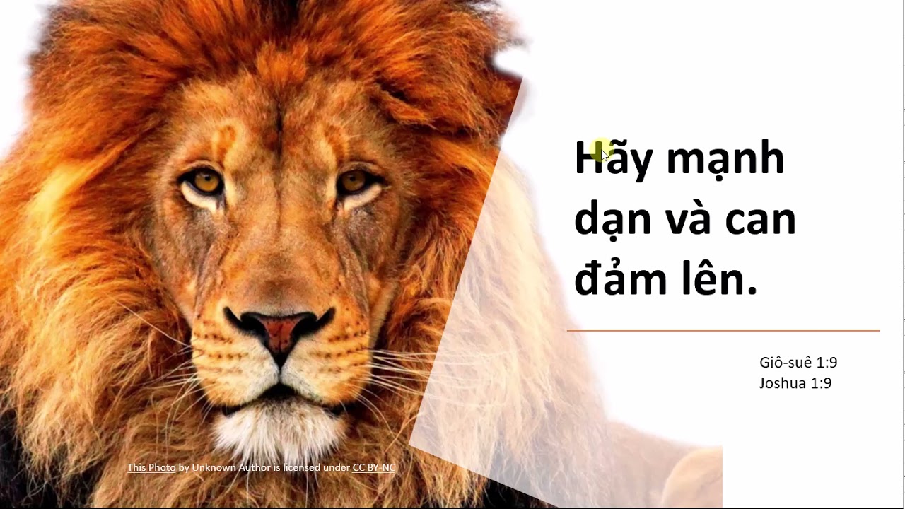 Mạnh Dạn Lên! Bí Quyết Để Vượt Qua Rào Cản Bản Thân