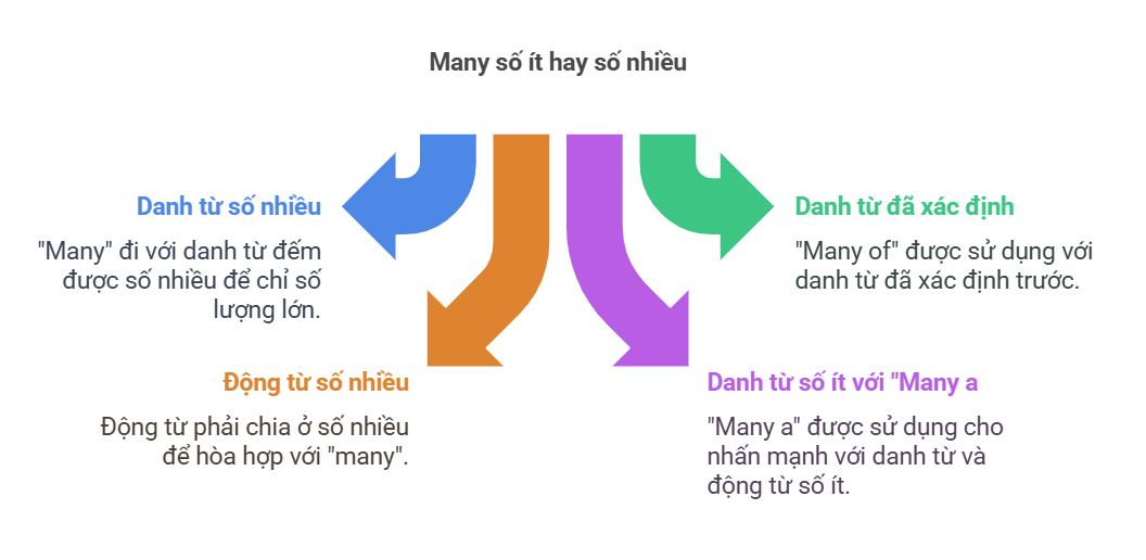 Many đi với số ít hay nhiều? Gallery 1