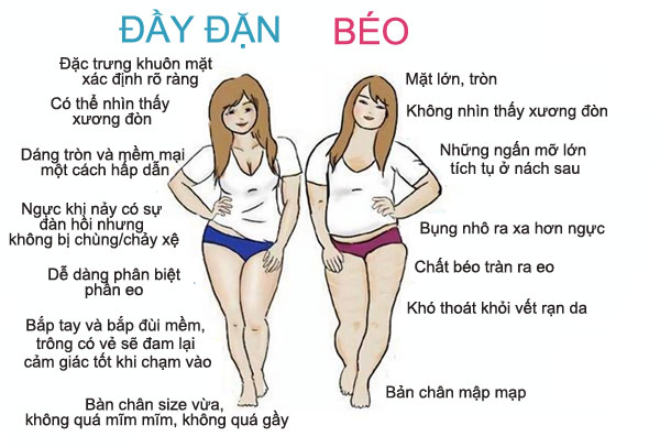 Mập mạp là gì?