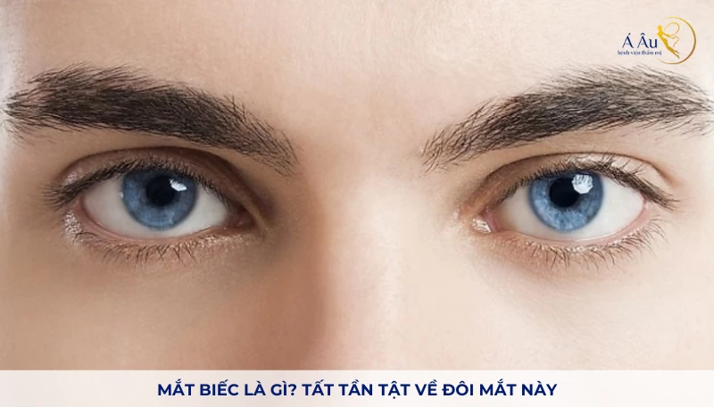 Mắt Biếc Là Gì?