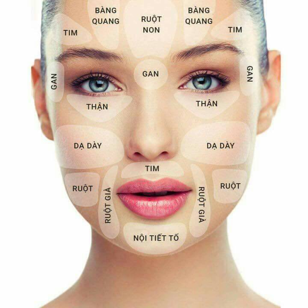 Các Bộ Phận Trên Khuôn Mặt Gallery 1