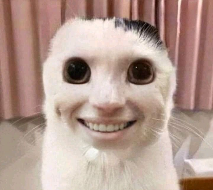 Mặt Hài Meme: Nguồn Gốc, Ý Nghĩa và Cách Sử Dụng