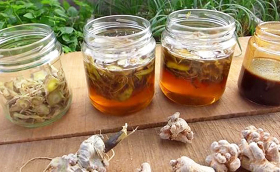 Mật Ong Ngâm Tam Thất: Công Dụng, Cách Làm Và Những Lưu Ý
