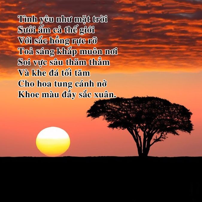 Những Bài Thơ Về Mặt Trời: Ánh Sáng Và Sức Sống Gallery 2