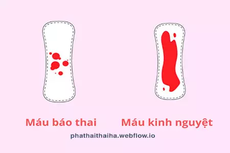 Thử Thai 2 Vạch Nhưng Không Có Máu Báo Thai Gallery 1