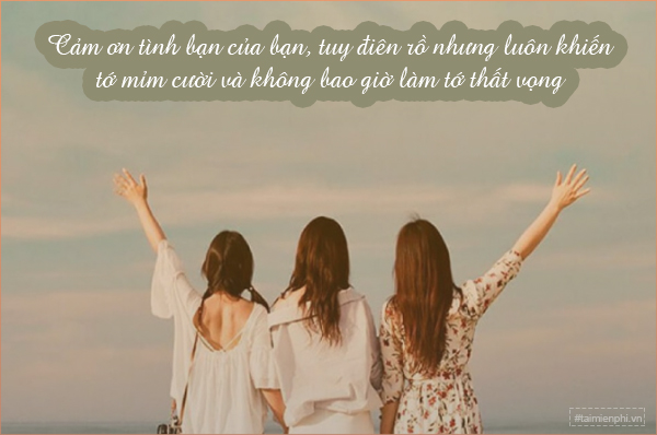 Vẫn Mẫu Cảm Ơn Bạn Bè Gallery 2