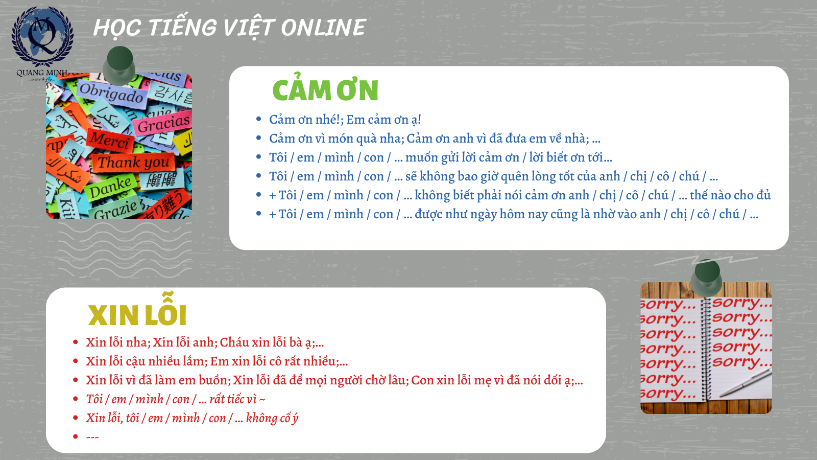 Mẫu Câu Xin Lỗi Tiếng Việt