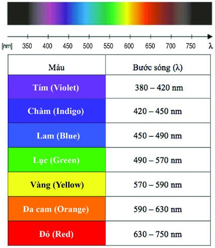 Màu Chàm Là Màu Gì?