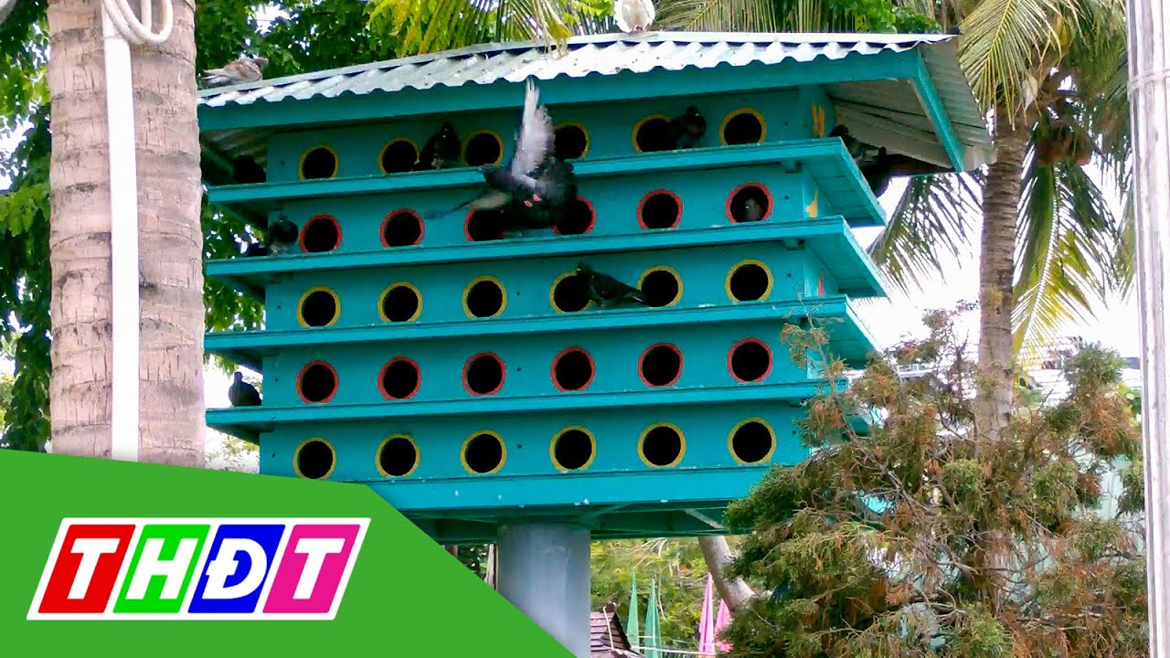 Mẫu Chuồng Bồ Câu Đẹp