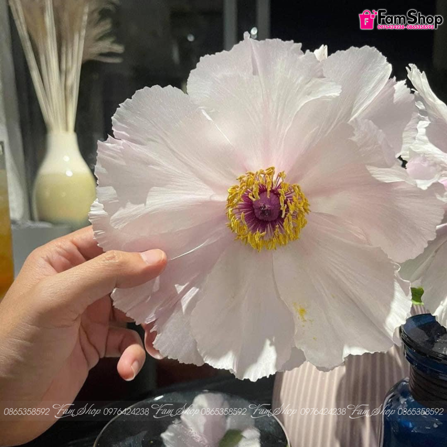 Mẫu đơn cánh bướm