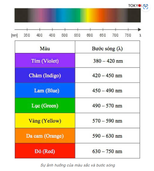 Màu Gì Không Bắt Nắng?